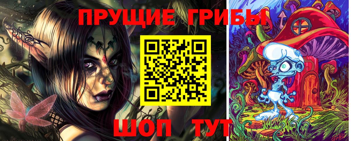 Галлюциногенные грибы Psilocybe  Вход с VPN  Гатчина 