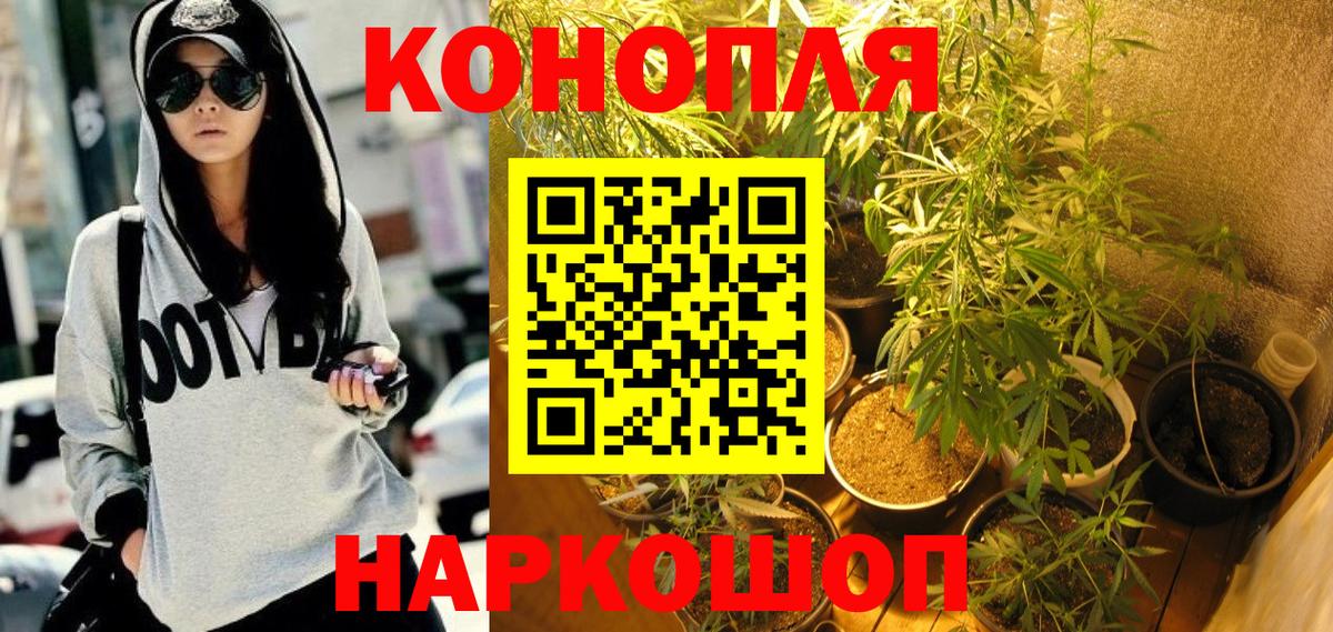Бошки марихуана марихуана Гатчина